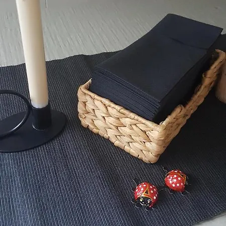 Appartement Zum Wohlfuhlen *